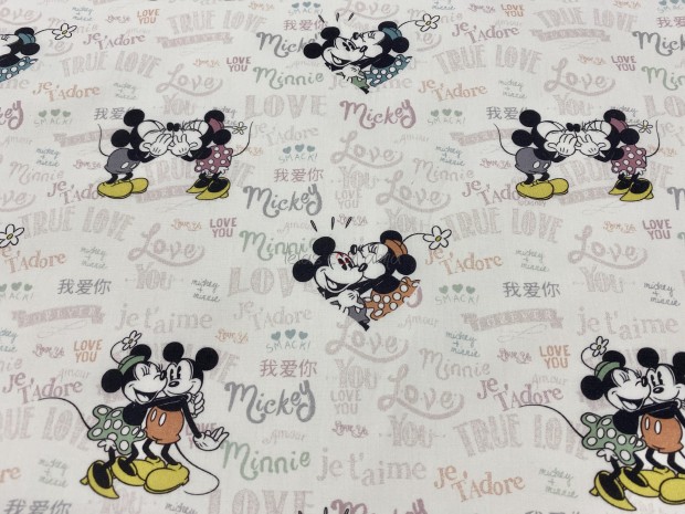 DISNEY FOREVER
