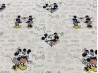 DISNEY FOREVER