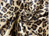 FAUNA LEOPARDO CALIDO