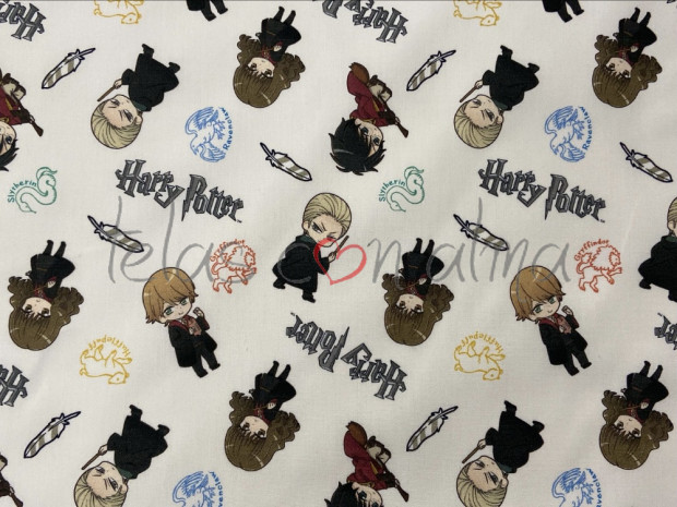 HARRY POTTER DUELO