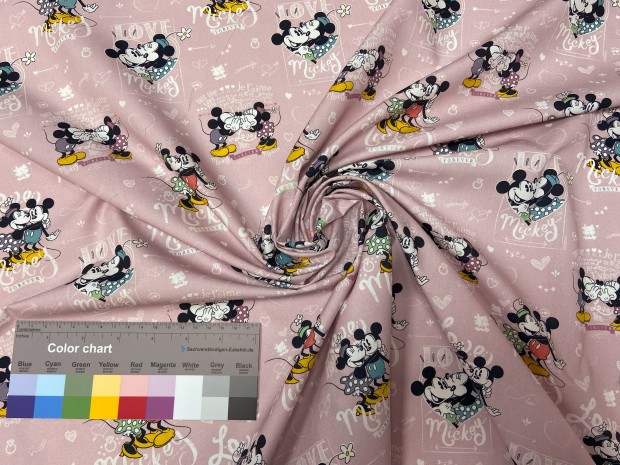DISNEY FOREVER PINK